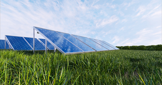 Fotovoltaico e biodiversità